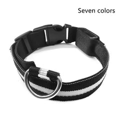 Collier lumineux LED en nylon pour chien et chat, clignotant pour une sécurité nocturne optimale, laisse ajustable. Accessoires pour animaux de compagnie.