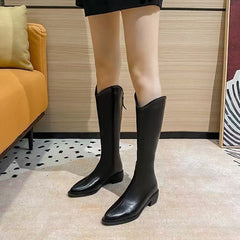 Fleece-lined Tall Chunky-heeled Pointed-toe Over-the-knee Riding Boots