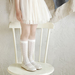 Korean-style Autumn New Arrival Girls' Mid-calf Socks, Thin Cotton Kids' White Lace Princess Socks, Mesh Long Tube Socks For Baby Girls