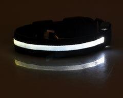 Collier lumineux LED en nylon pour chien et chat, clignotant pour une sécurité nocturne optimale, laisse ajustable. Accessoires pour animaux de compagnie.