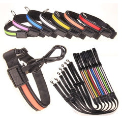 Fluorescent dog collar