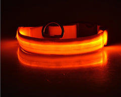 Collier lumineux LED en nylon pour chien et chat, clignotant pour une sécurité nocturne optimale, laisse ajustable. Accessoires pour animaux de compagnie.