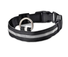 Collier lumineux LED en nylon pour chien et chat, clignotant pour une sécurité nocturne optimale, laisse ajustable. Accessoires pour animaux de compagnie.