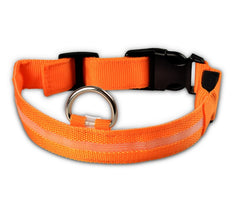 Collier lumineux LED en nylon pour chien et chat, clignotant pour une sécurité nocturne optimale, laisse ajustable. Accessoires pour animaux de compagnie.