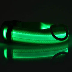 Collier lumineux LED en nylon pour chien et chat, clignotant pour une sécurité nocturne optimale, laisse ajustable. Accessoires pour animaux de compagnie.