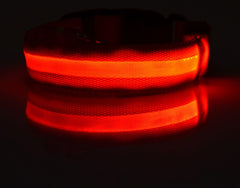 Collier lumineux LED en nylon pour chien et chat, clignotant pour une sécurité nocturne optimale, laisse ajustable. Accessoires pour animaux de compagnie.
