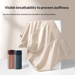 Light Luxury Satin Ice Silk High-End Silk Antibacterial Mens Underwear