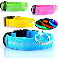Collier lumineux LED en nylon pour chien et chat, clignotant pour une sécurité nocturne optimale, laisse ajustable. Accessoires pour animaux de compagnie.