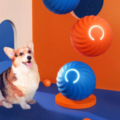 Hundespielzeug aus Gummi – Beißfestes Kauspielzeug für Welpen und Hundeerziehung