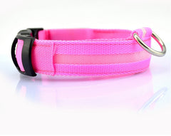 Collier lumineux LED en nylon pour chien et chat, clignotant pour une sécurité nocturne optimale, laisse ajustable. Accessoires pour animaux de compagnie.