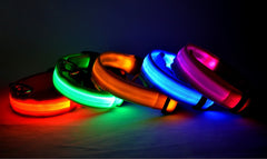 Collier lumineux LED en nylon pour chien et chat, clignotant pour une sécurité nocturne optimale, laisse ajustable. Accessoires pour animaux de compagnie.