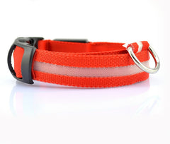 Collier lumineux LED en nylon pour chien et chat, clignotant pour une sécurité nocturne optimale, laisse ajustable. Accessoires pour animaux de compagnie.