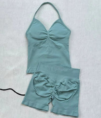 Fashionable Seamless Womens Fitness Shorts Set