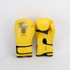 Boys Muay Thai Boxing Training With A Punching Bag And Gloves