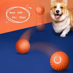 Hundespielzeug aus Gummi – Beißfestes Kauspielzeug für Welpen und Hundeerziehung