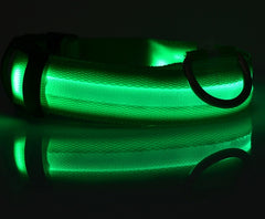 Collier lumineux LED en nylon pour chien et chat, clignotant pour une sécurité nocturne optimale, laisse ajustable. Accessoires pour animaux de compagnie.