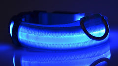 Collier lumineux LED en nylon pour chien et chat, clignotant pour une sécurité nocturne optimale, laisse ajustable. Accessoires pour animaux de compagnie.