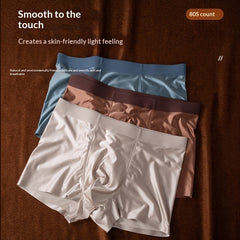 Light Luxury Satin Ice Silk High-End Silk Antibacterial Mens Underwear