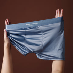 Mens Underwear 10A Antibacterial Crotch Boxer Briefs Breathable Smooth Seamless