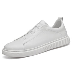 Men's Low Top Layer Cowhide Sports Board Shoes