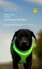 LED Luminous Dog Harness Led USB Charging Dog Chest Strap Vest Pet Safety Reflective Harness Pet Vest For Puppy Large Dog Pet Products
