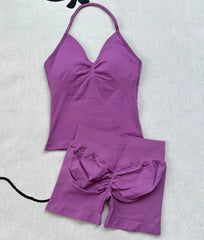 Fashionable Seamless Womens Fitness Shorts Set