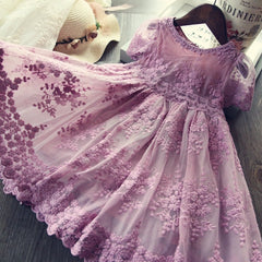 955c395924d50caf3261ab2a886ef3c7