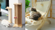 Pet Furnitures