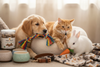 Pet Supplies