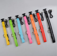 Collier lumineux LED en nylon pour chien et chat, clignotant pour une sécurité nocturne optimale, laisse ajustable. Accessoires pour animaux de compagnie. 
