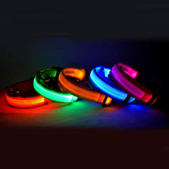 Collier lumineux LED en nylon pour chien et chat, clignotant pour une sécurité nocturne optimale, laisse ajustable. Accessoires pour animaux de compagnie. 