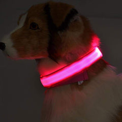 Collier lumineux LED en nylon pour chien et chat, clignotant pour une sécurité nocturne optimale, laisse ajustable. Accessoires pour animaux de compagnie. 