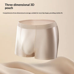 Light Luxury Satin Ice Silk High-End  Silk Antibacterial Mens Underwear